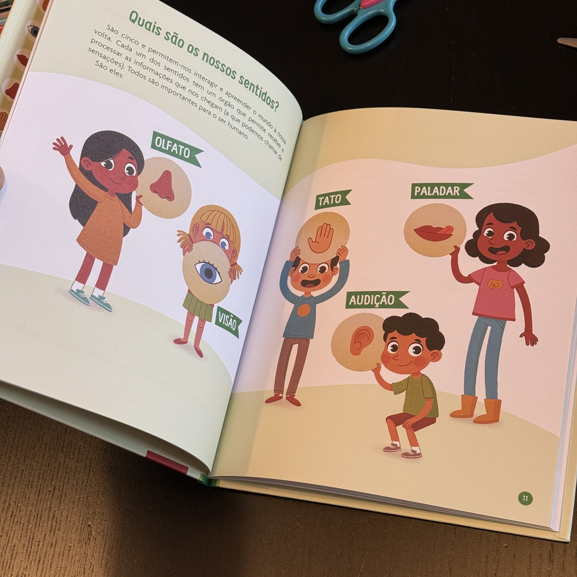 Explora os Cinco Sentidos