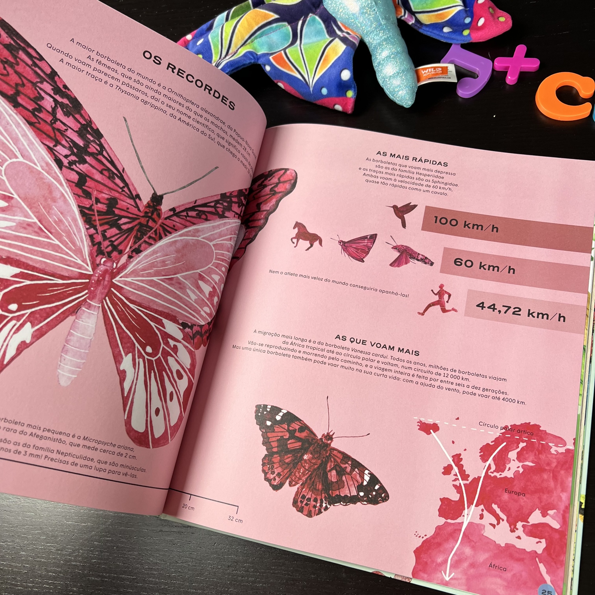 BORBOLETAS - VIDA SECRETA