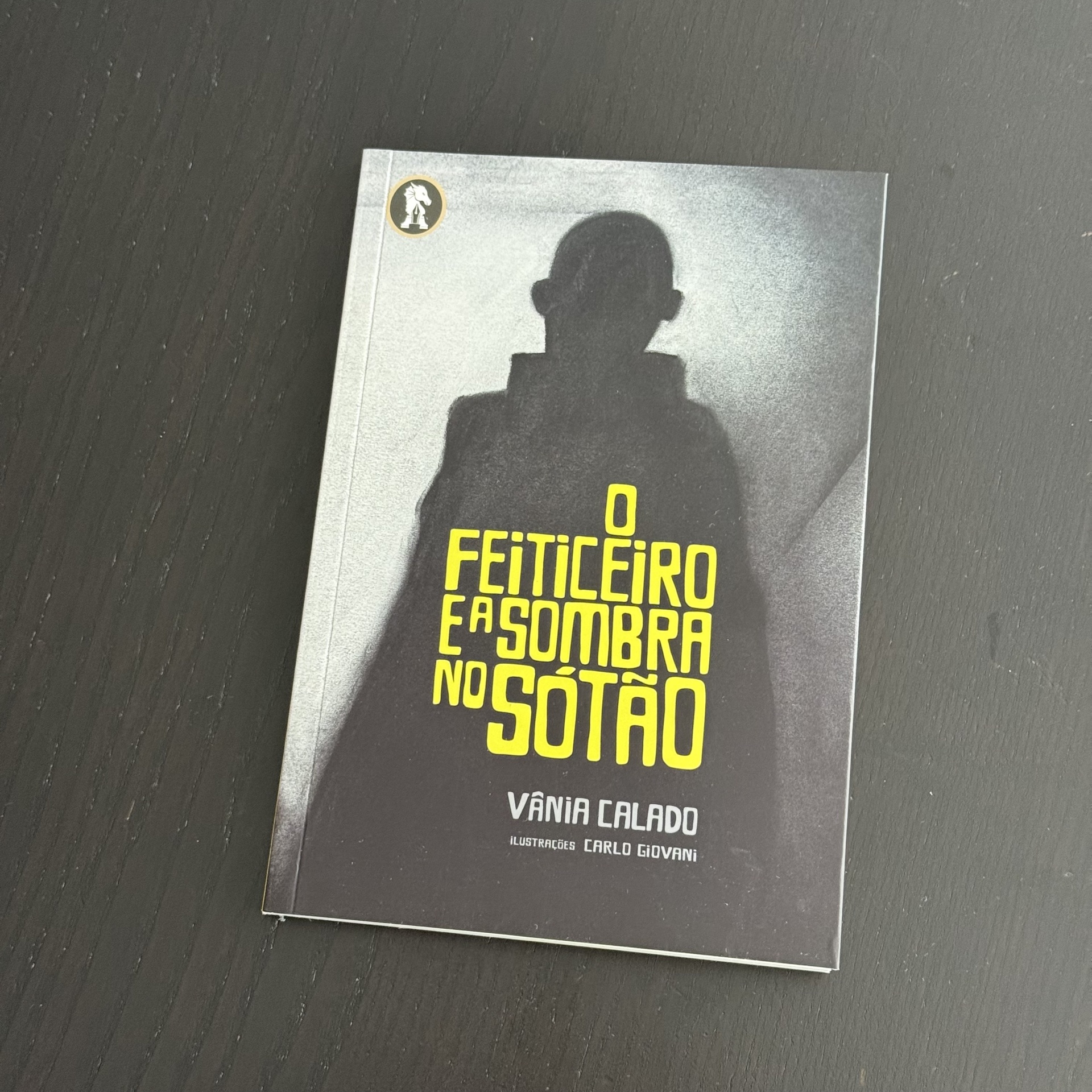 O feiticeiro e a sombra no sótão