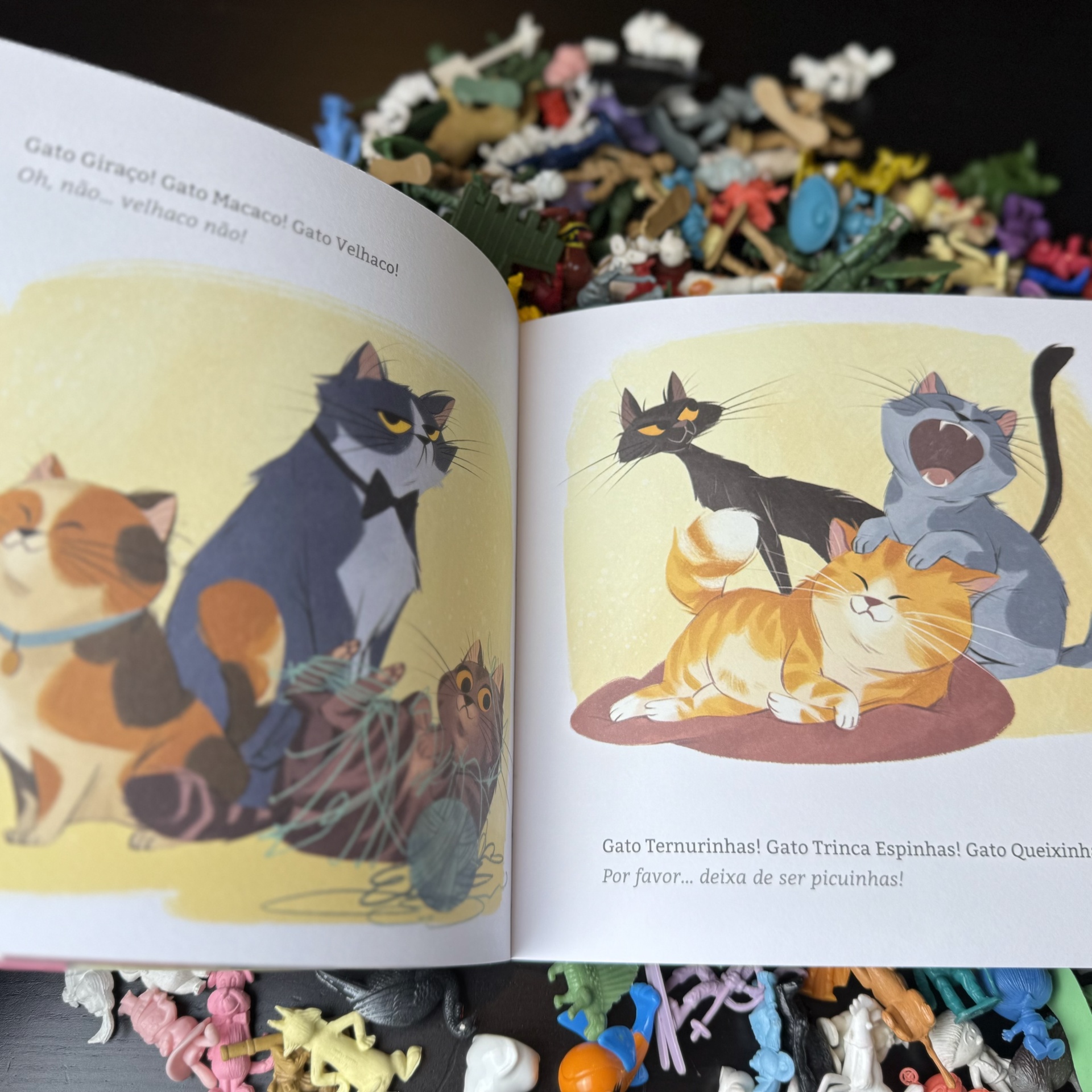 Sofia e o dia da fotografia