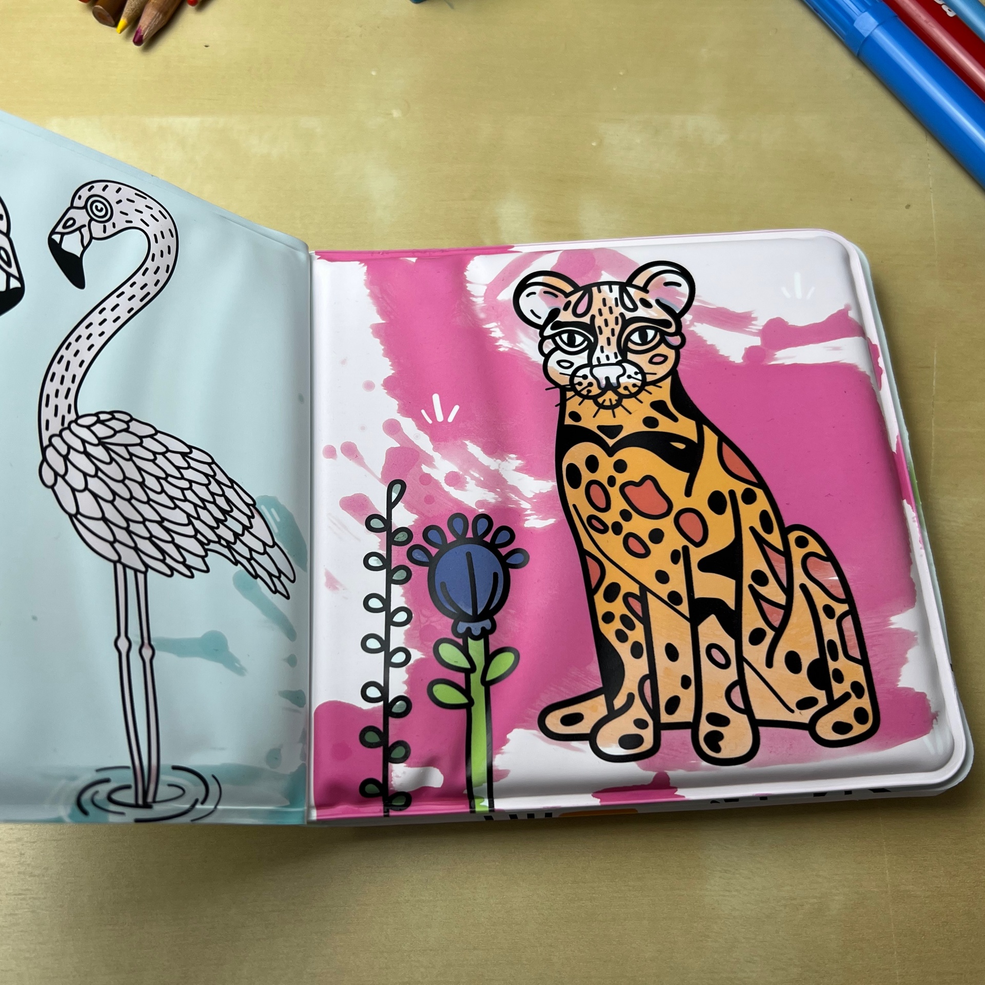 Cores Mágicas - Tropical