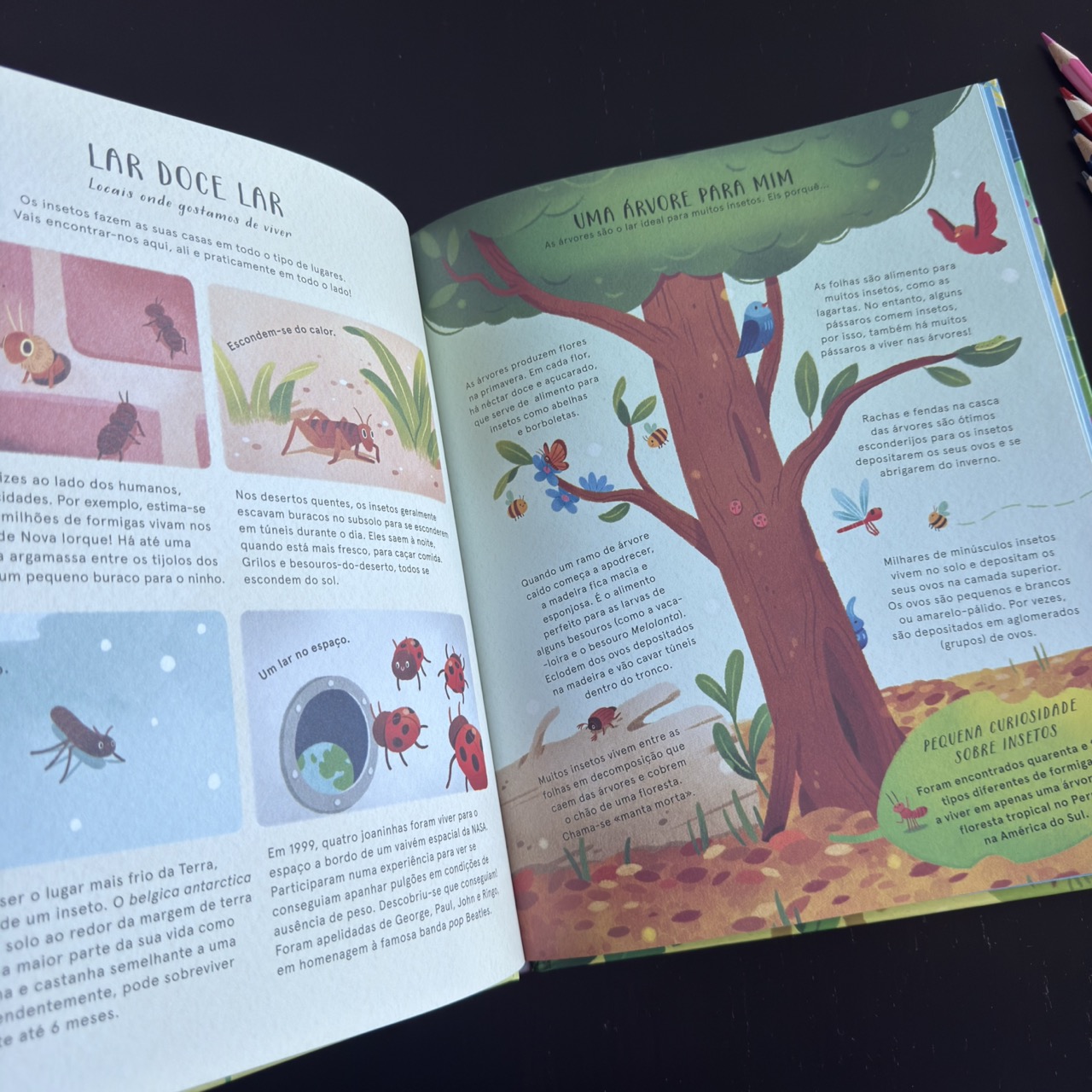 A Vida Secreta dos Insetos