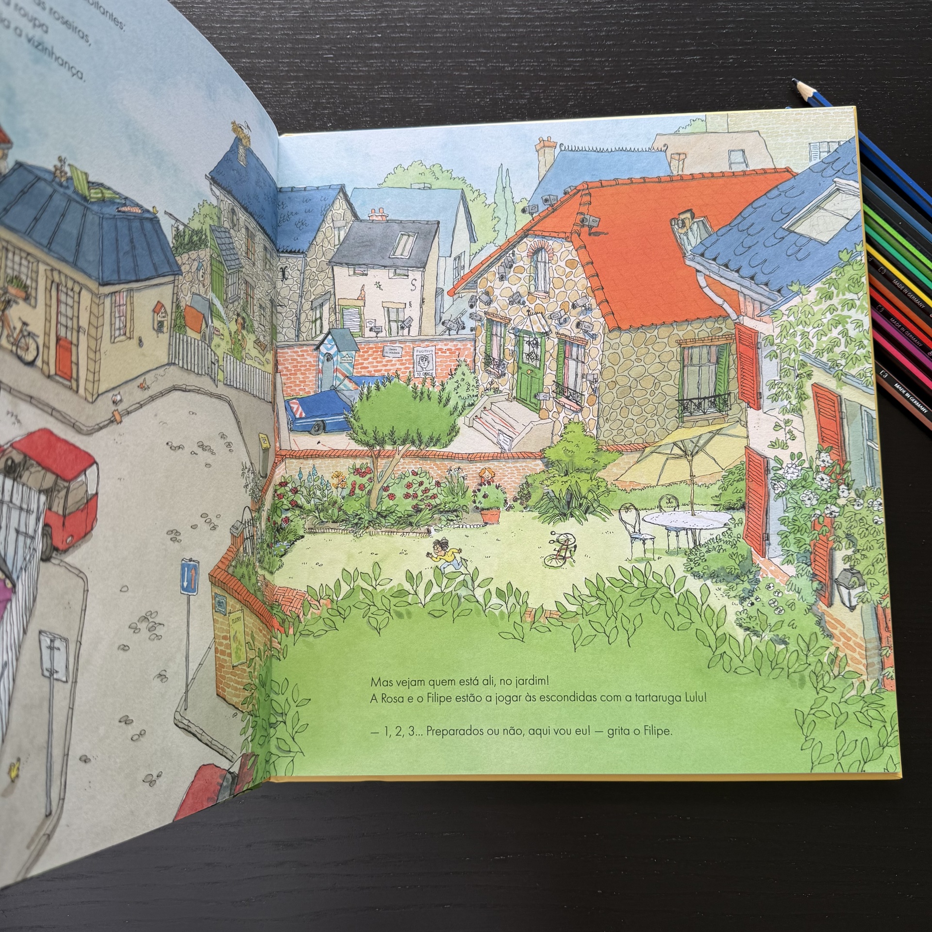 Alguém viu a tartaruga Lulu?