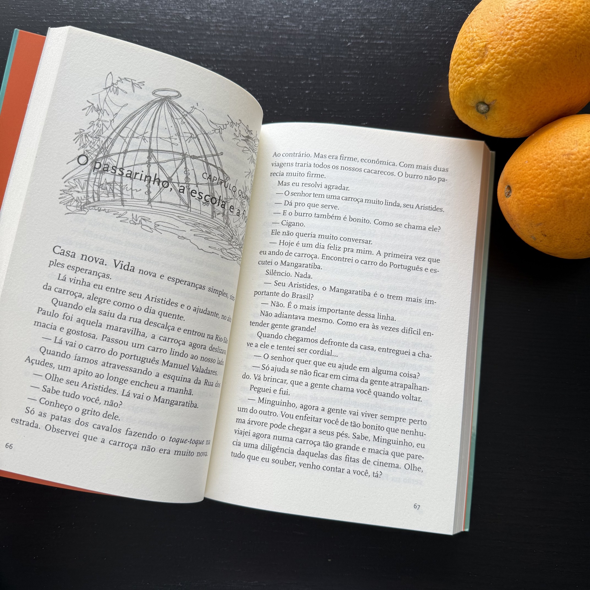 O Meu pé de Laranja Lima