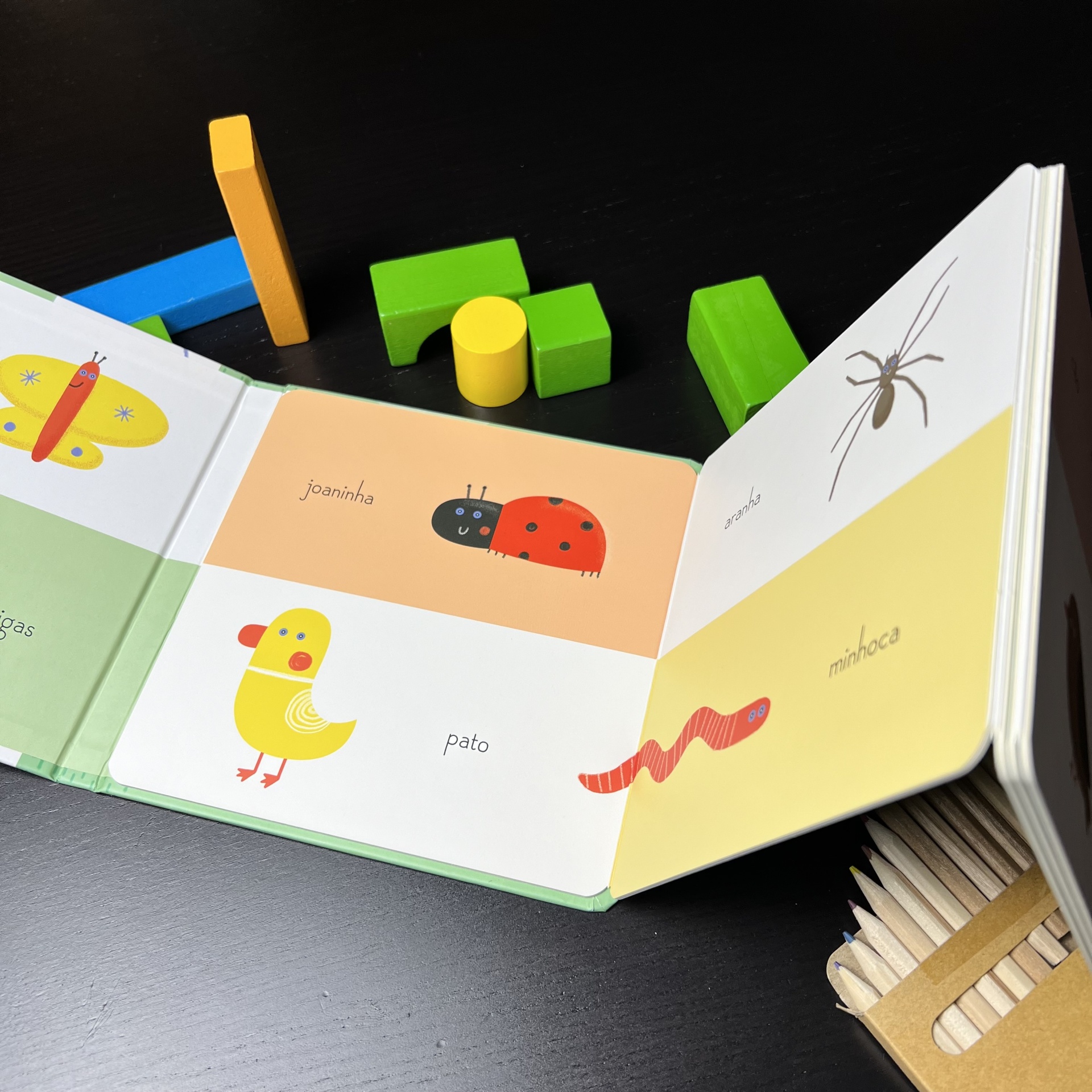 EDICARE BEBÉ - LIVRO ACORDEÃO JARDIM