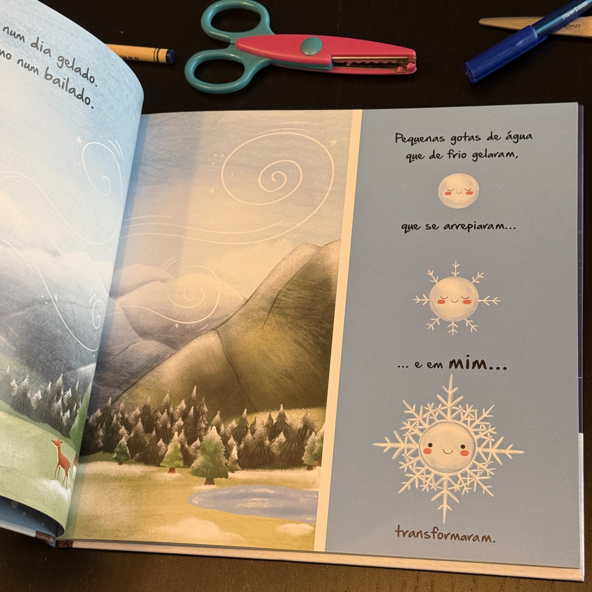 Ciclos da Natureza 7: A Viagem do Floco de Neve