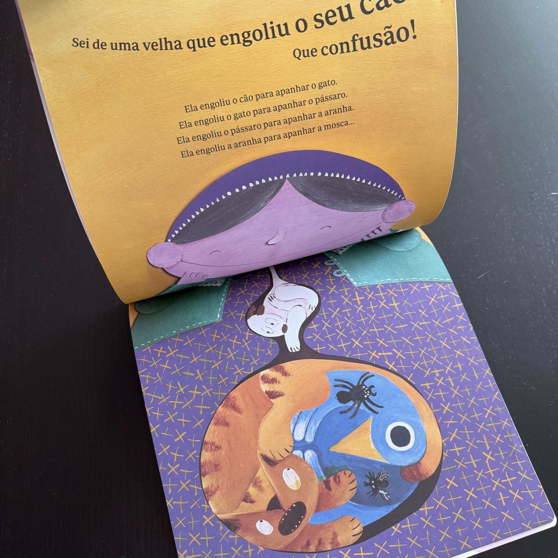 Sei de uma velha que engoliu uma mosca (2ª Edição)