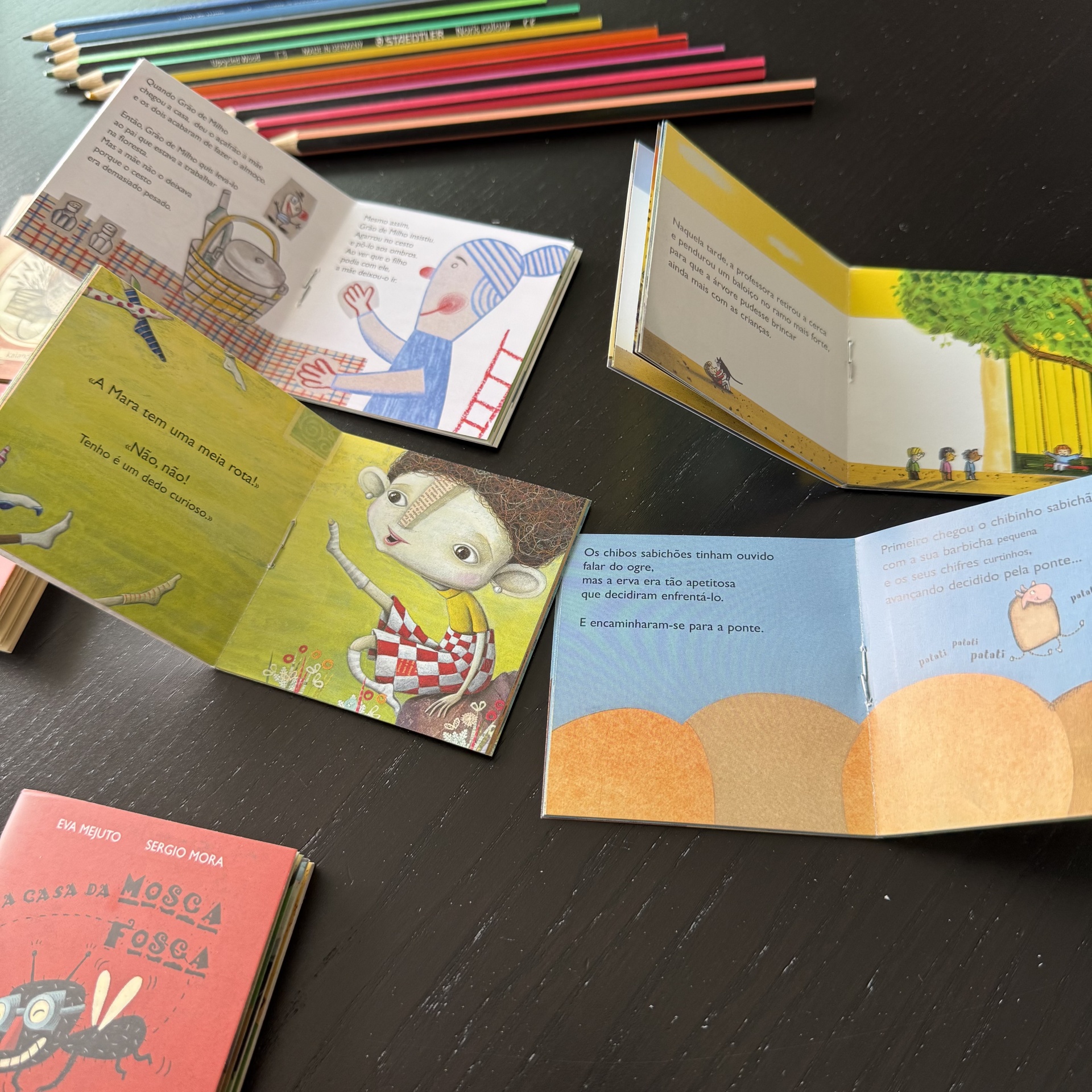 Minilivros - Imperdíveis 1