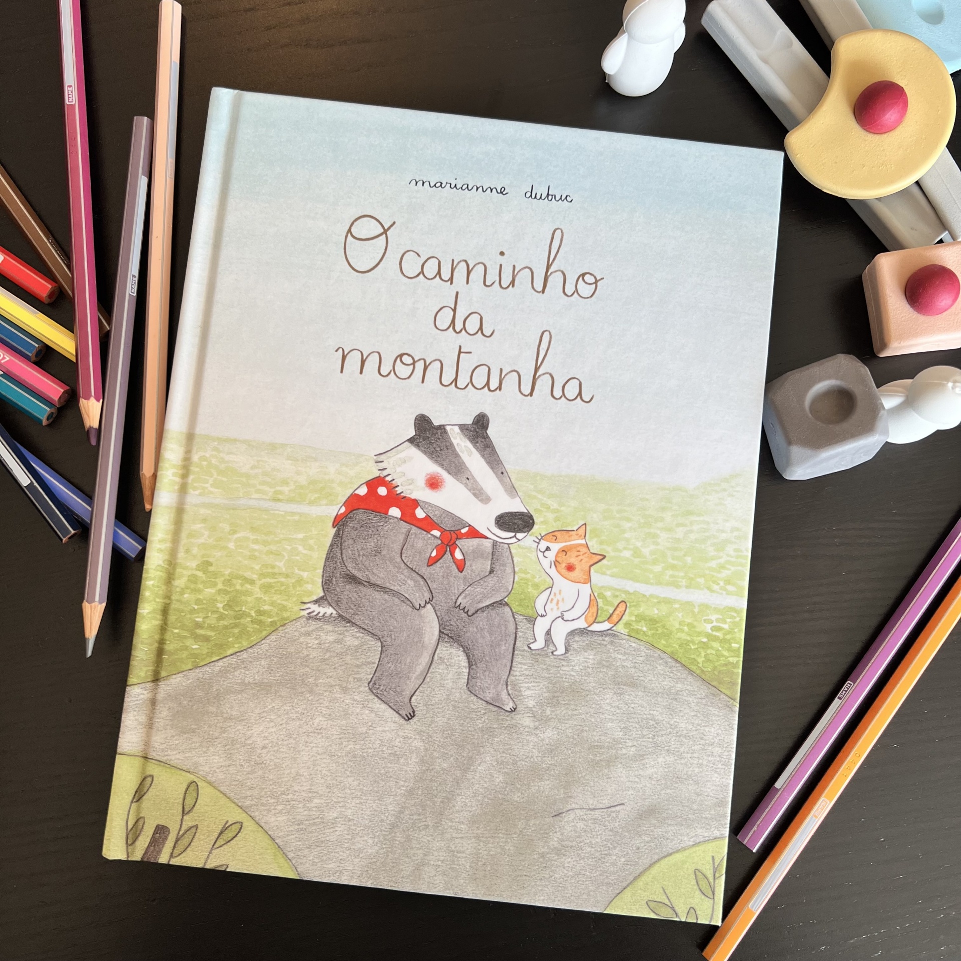 O CAMINHO DA MONTANHA