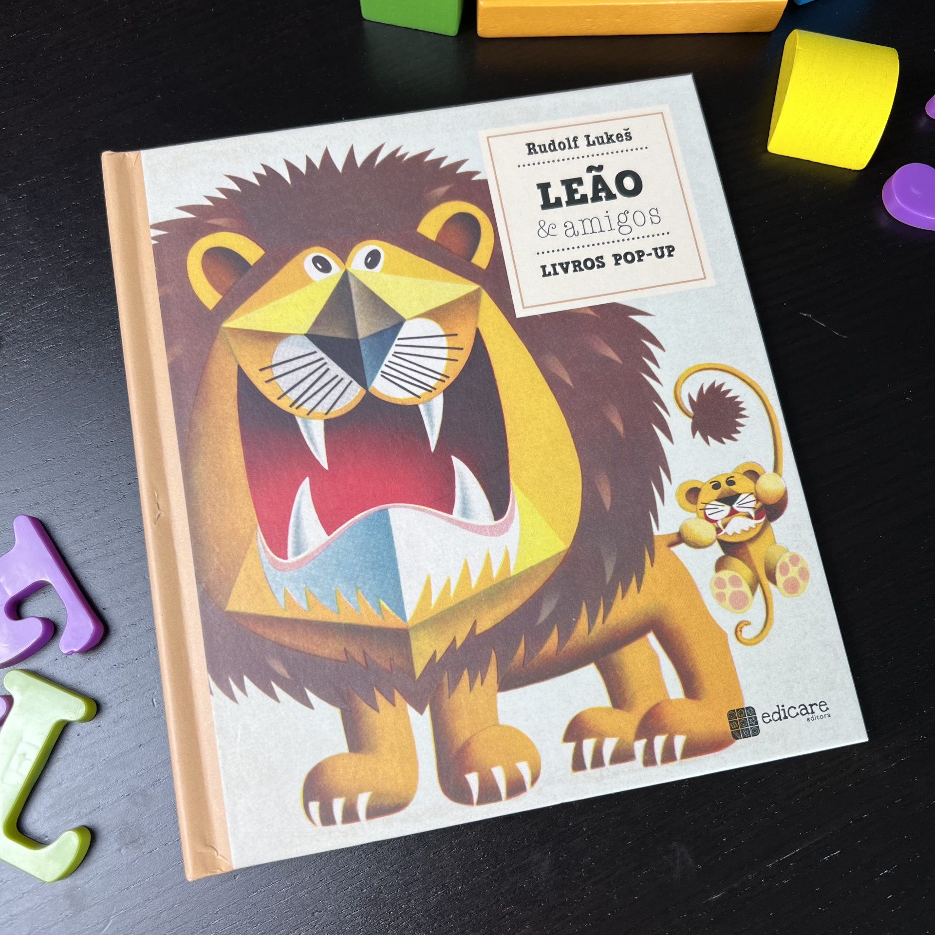 O LEÃO E OS SEUS AMIGOS - LIVRO POP-UP