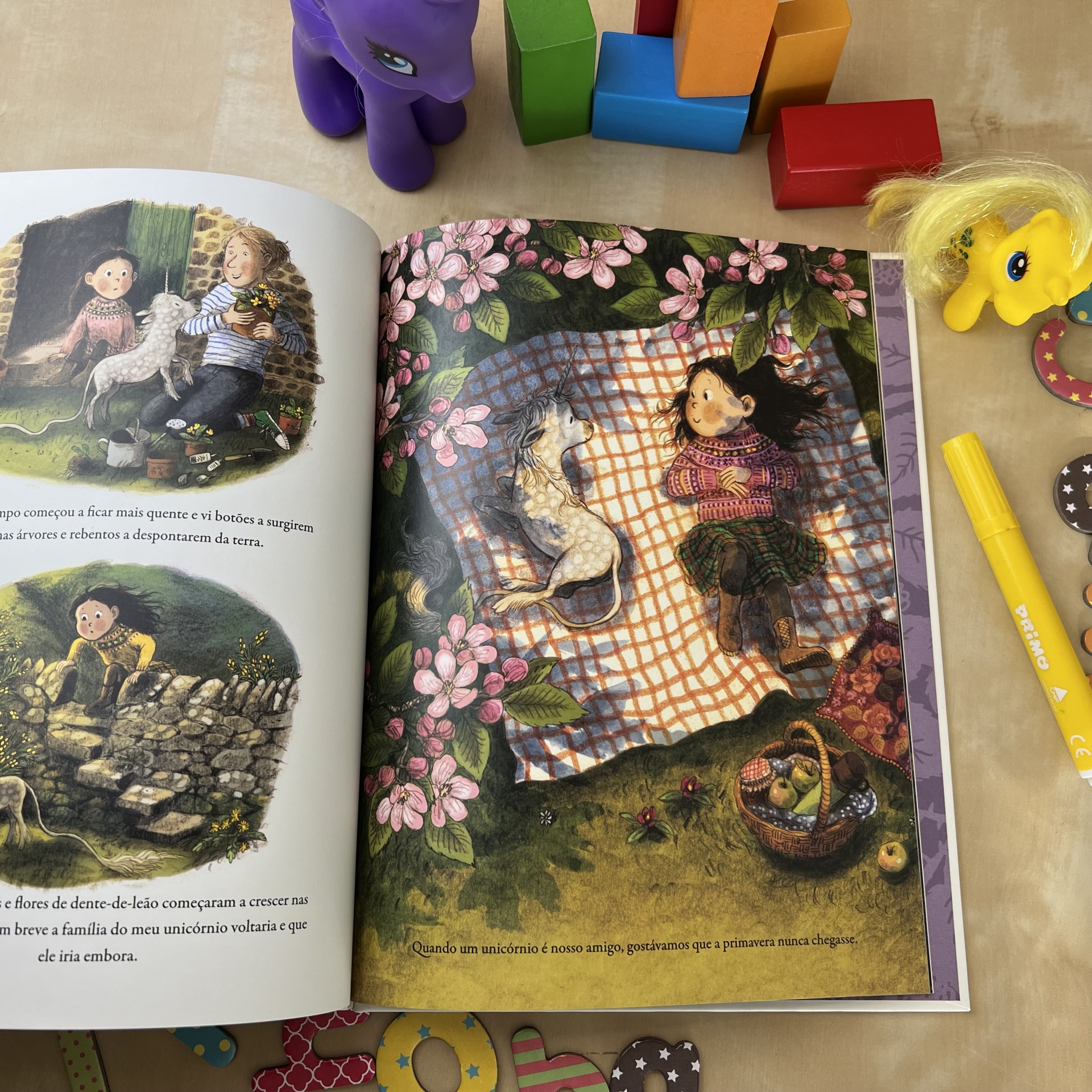 UNICÓRNIO DA MARGARIDA