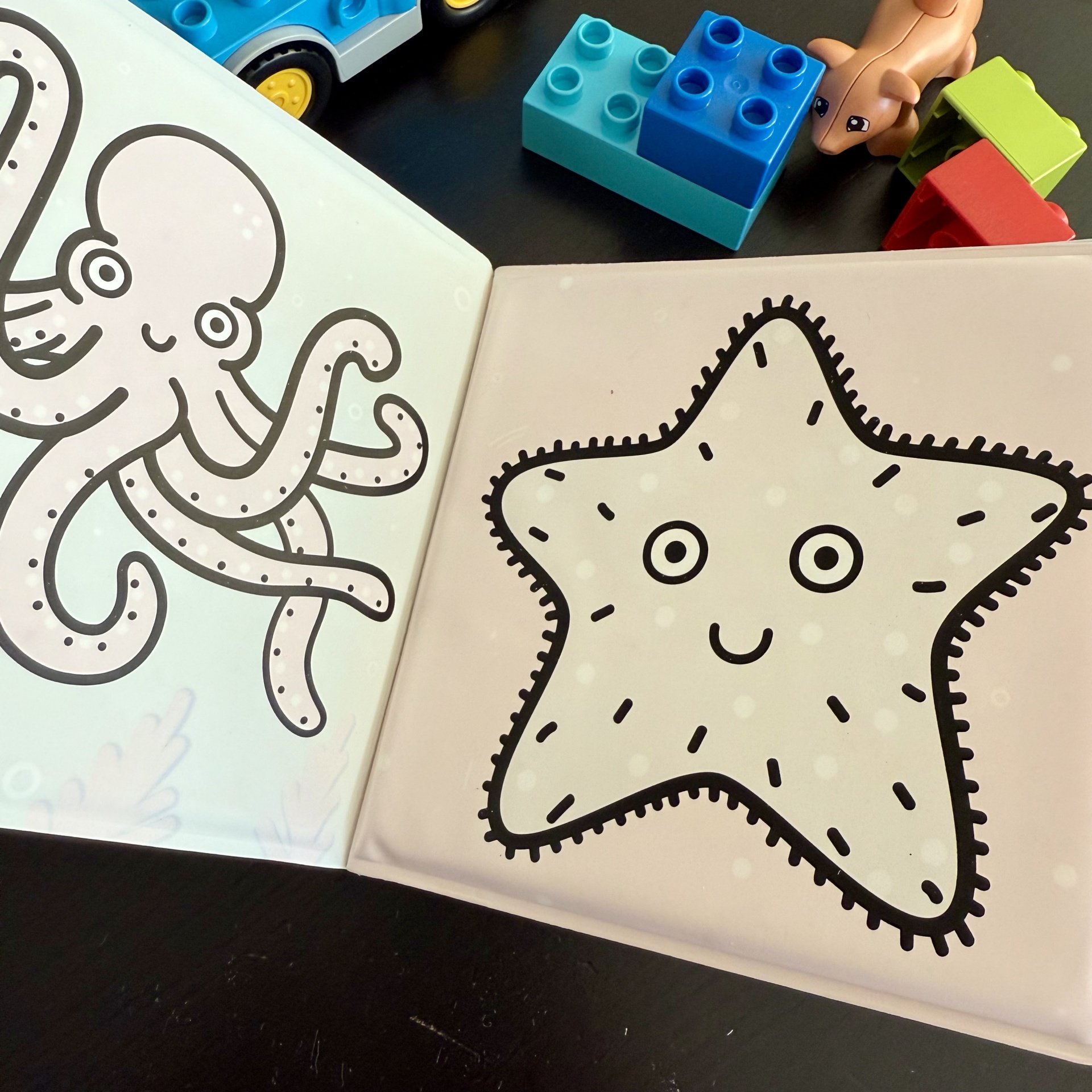 CORES MÁGICAS - MAR