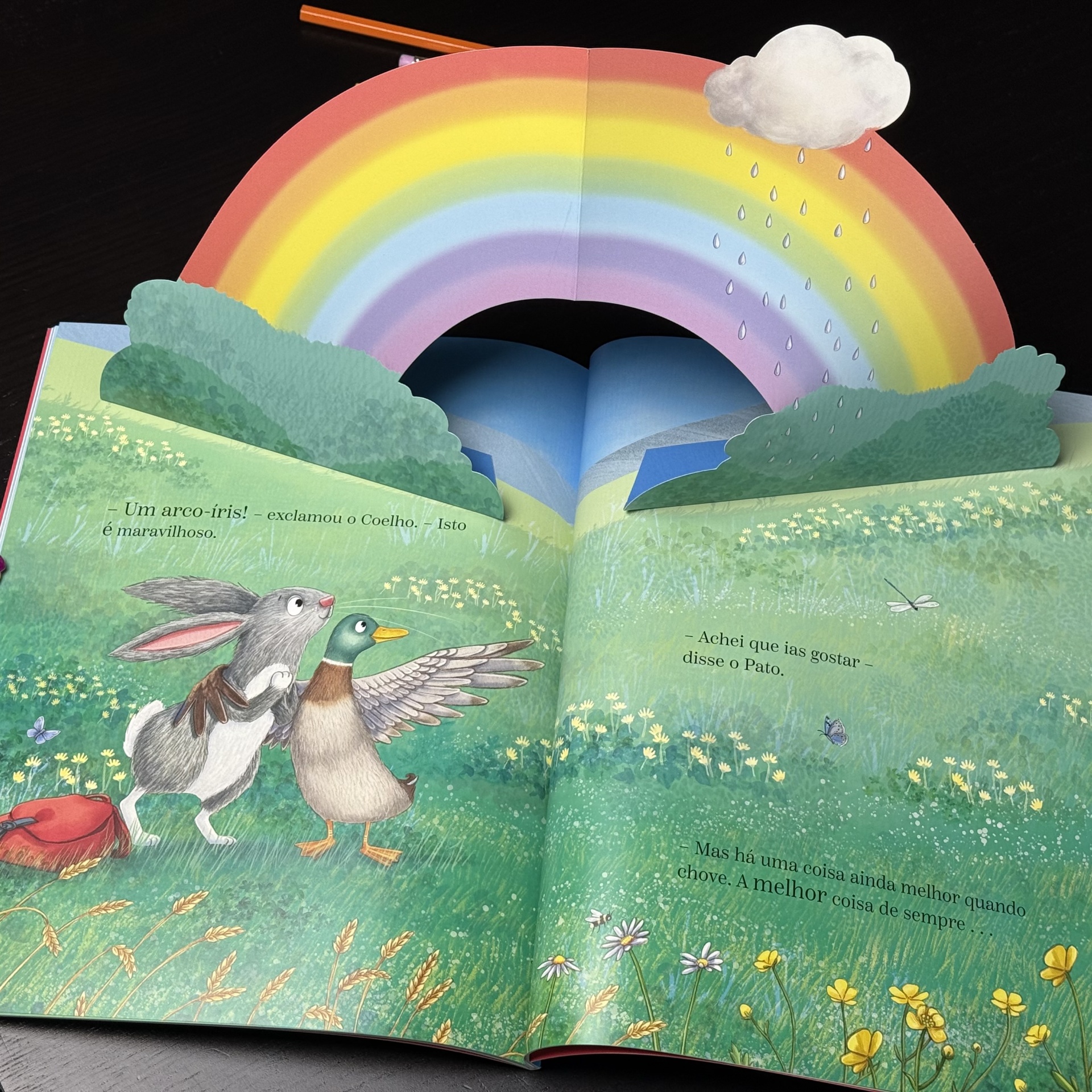 O coelho, a nuvem e o dia de chuva