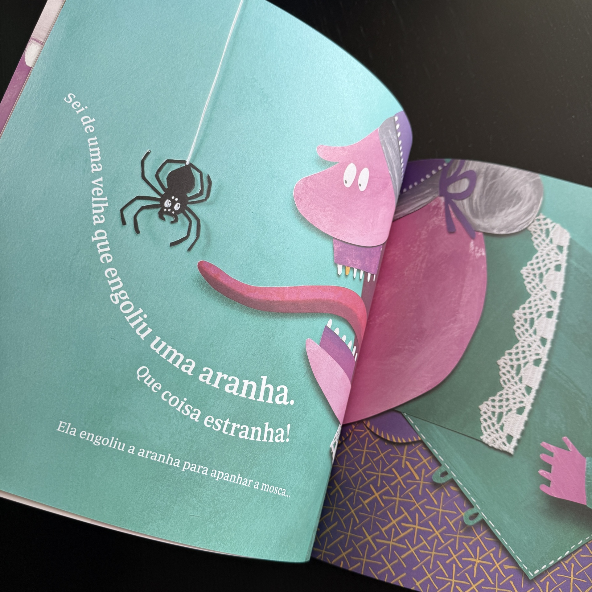 Sei de uma velha que engoliu uma mosca (2ª Edição)