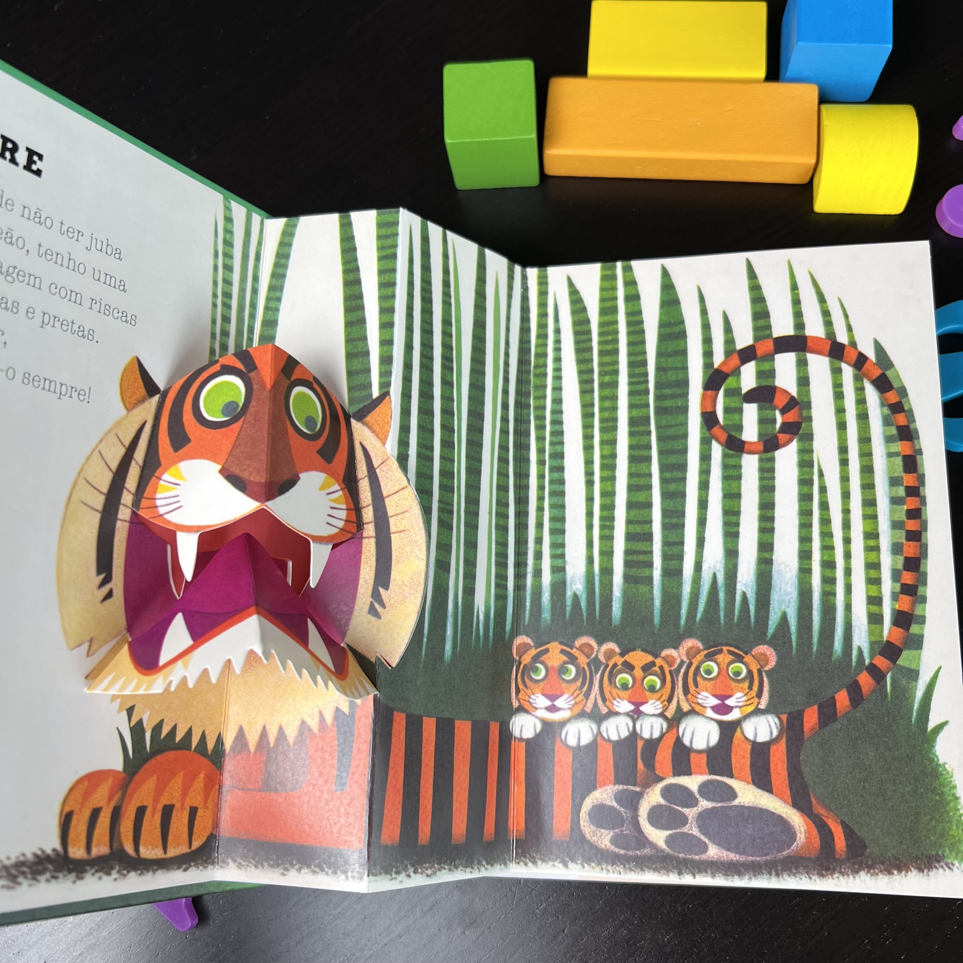 O TIGRE E OS SEUS AMIGOS - LIVRO POP-UP