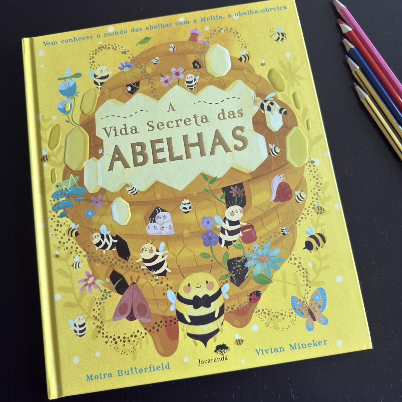 A Vida Secreta das Abelhas