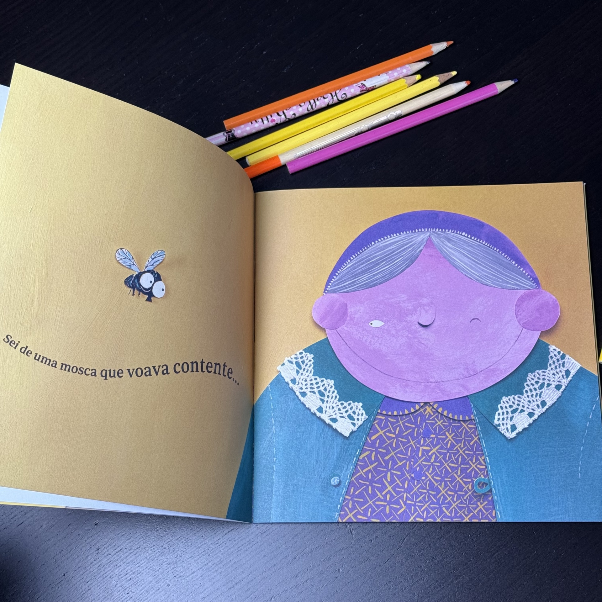 Sei de uma velha que engoliu uma mosca