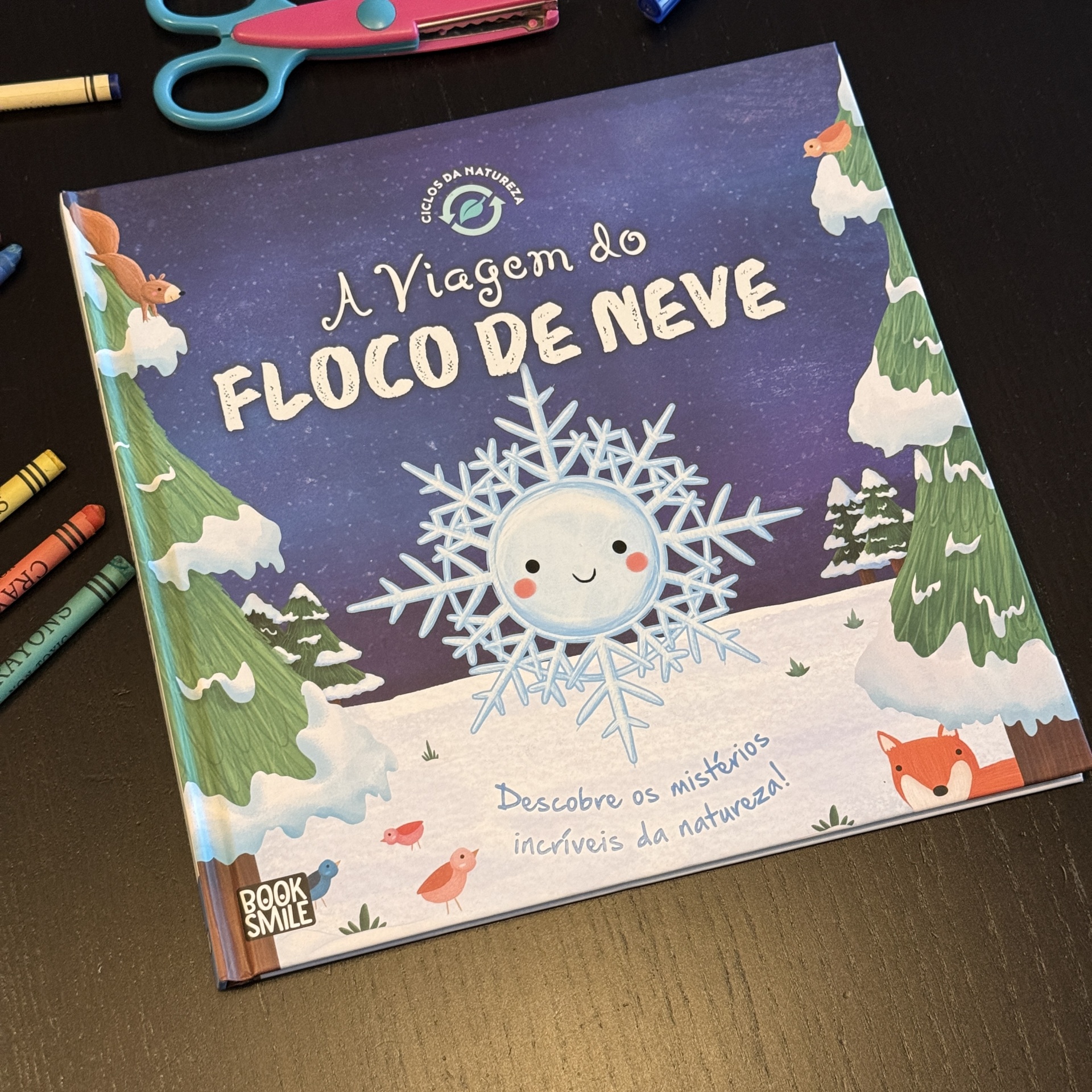 Ciclos da Natureza 7: A Viagem do Floco de Neve