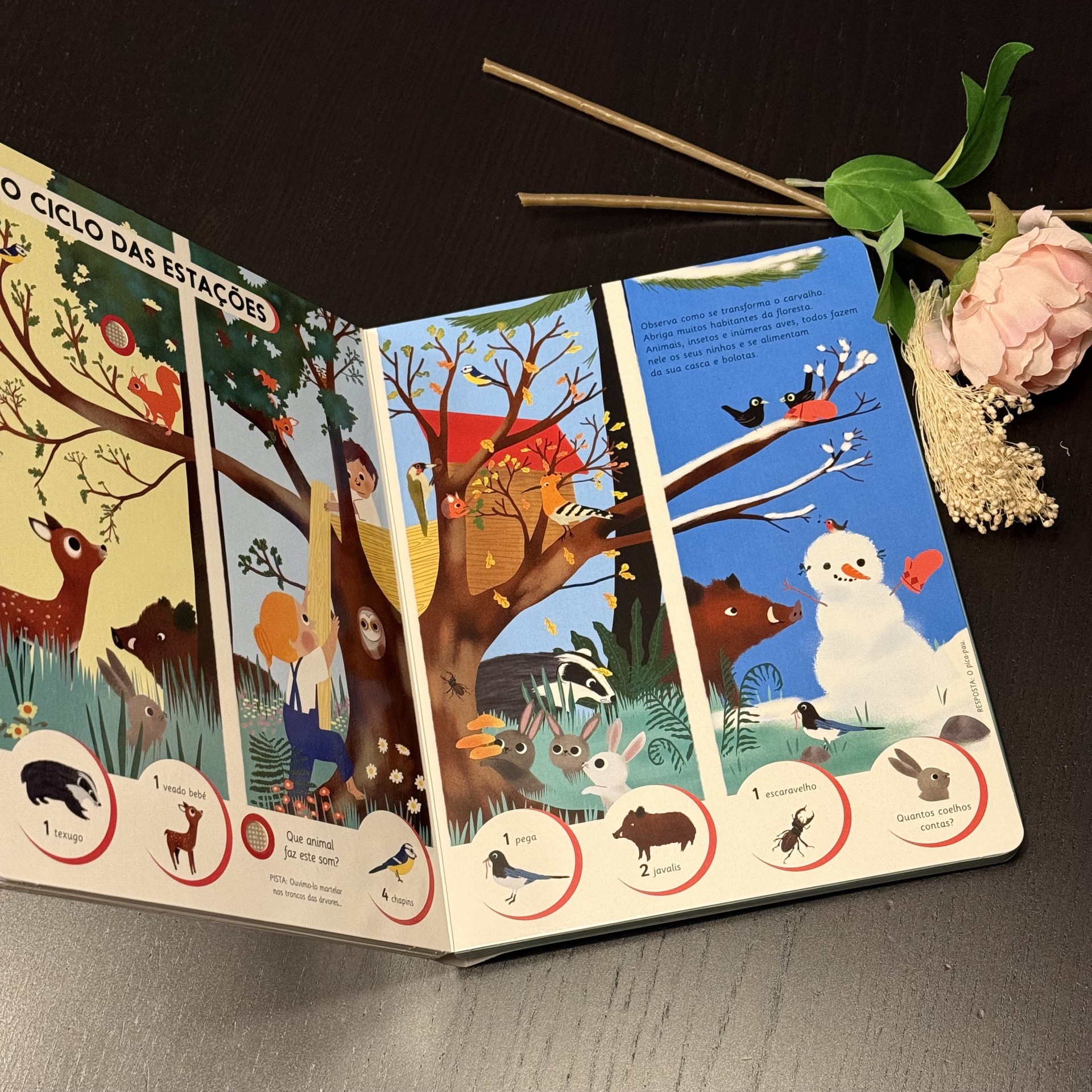 OUVE E DESCOBRE - AS ESTAÇÕES