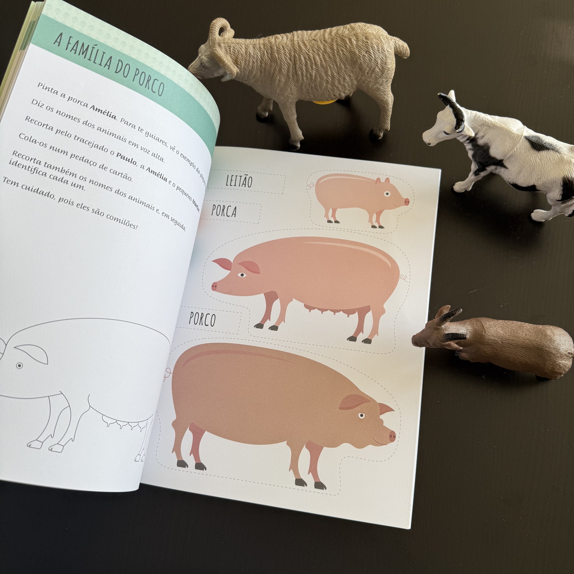 MÉTODO MONTESSORI - QUINTA