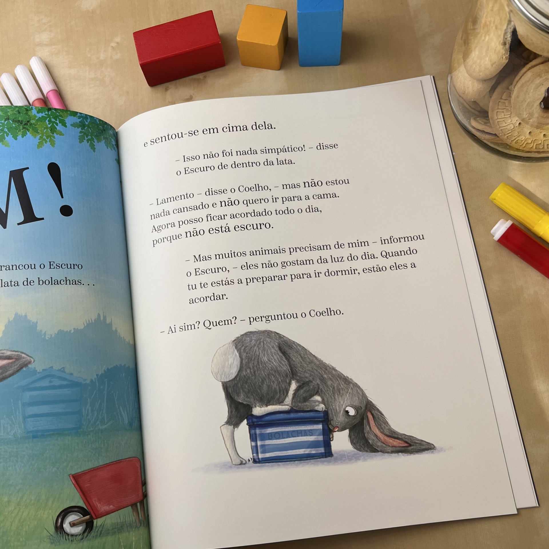 O COELHO, O ESCURO E A LATA DE BOLACHAS