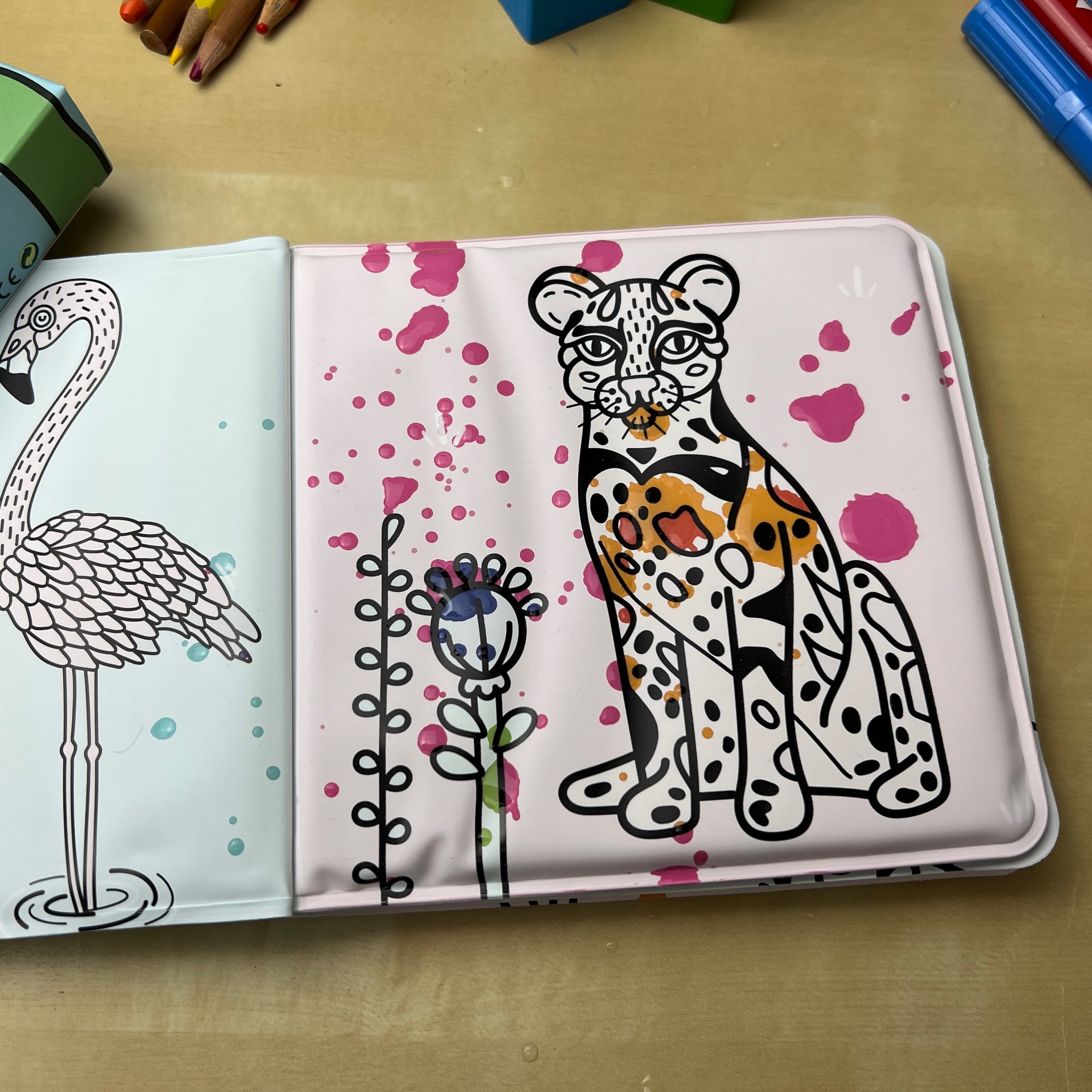 Cores Mágicas - Tropical