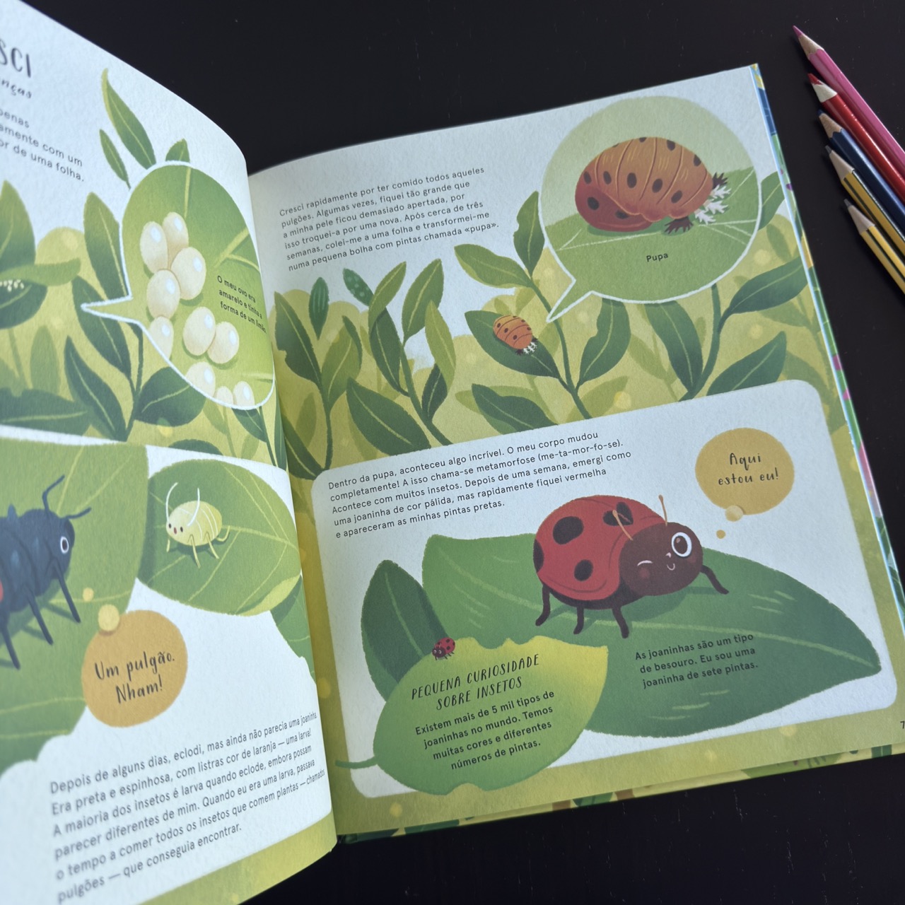 A Vida Secreta dos Insetos