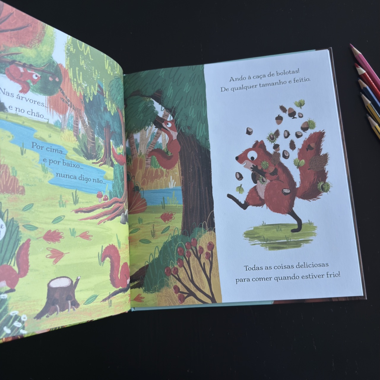 A Grande Caça às Bolotas