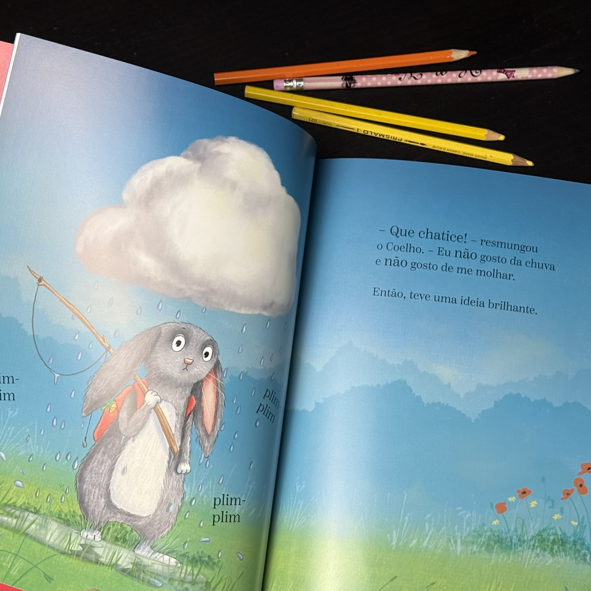 O coelho, a nuvem e o dia de chuva