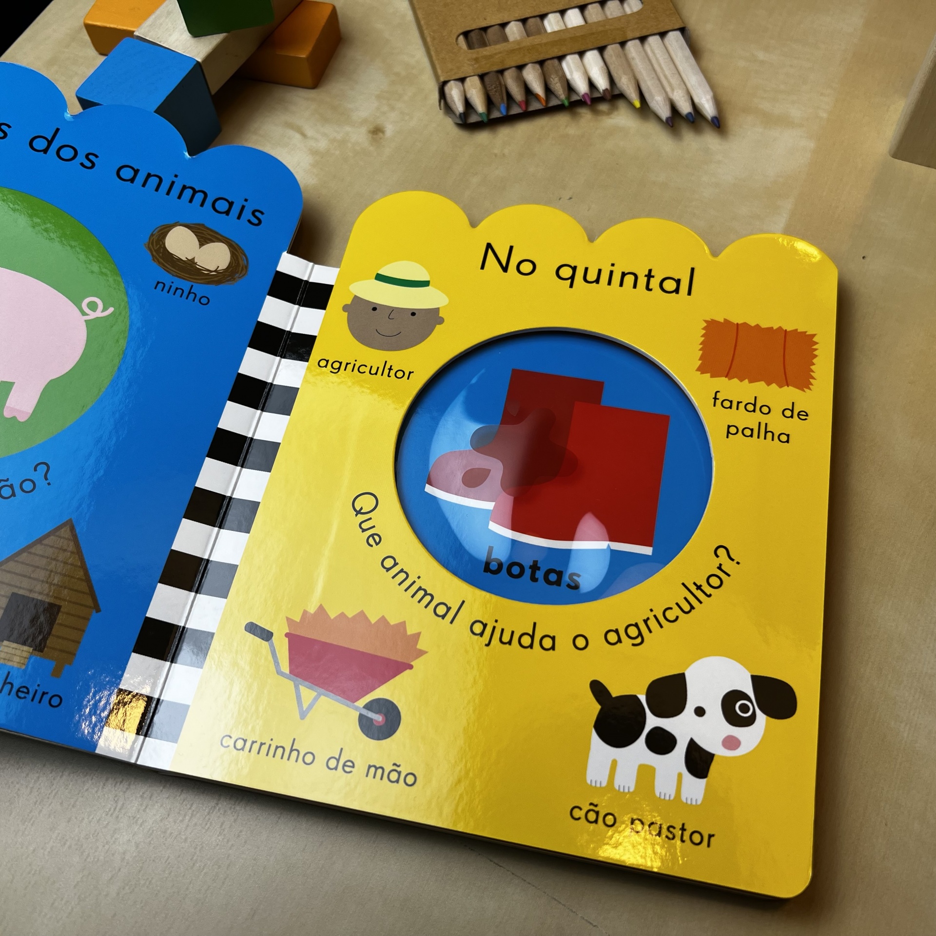 A QUINTA MUNDO DOS PEQUENOS