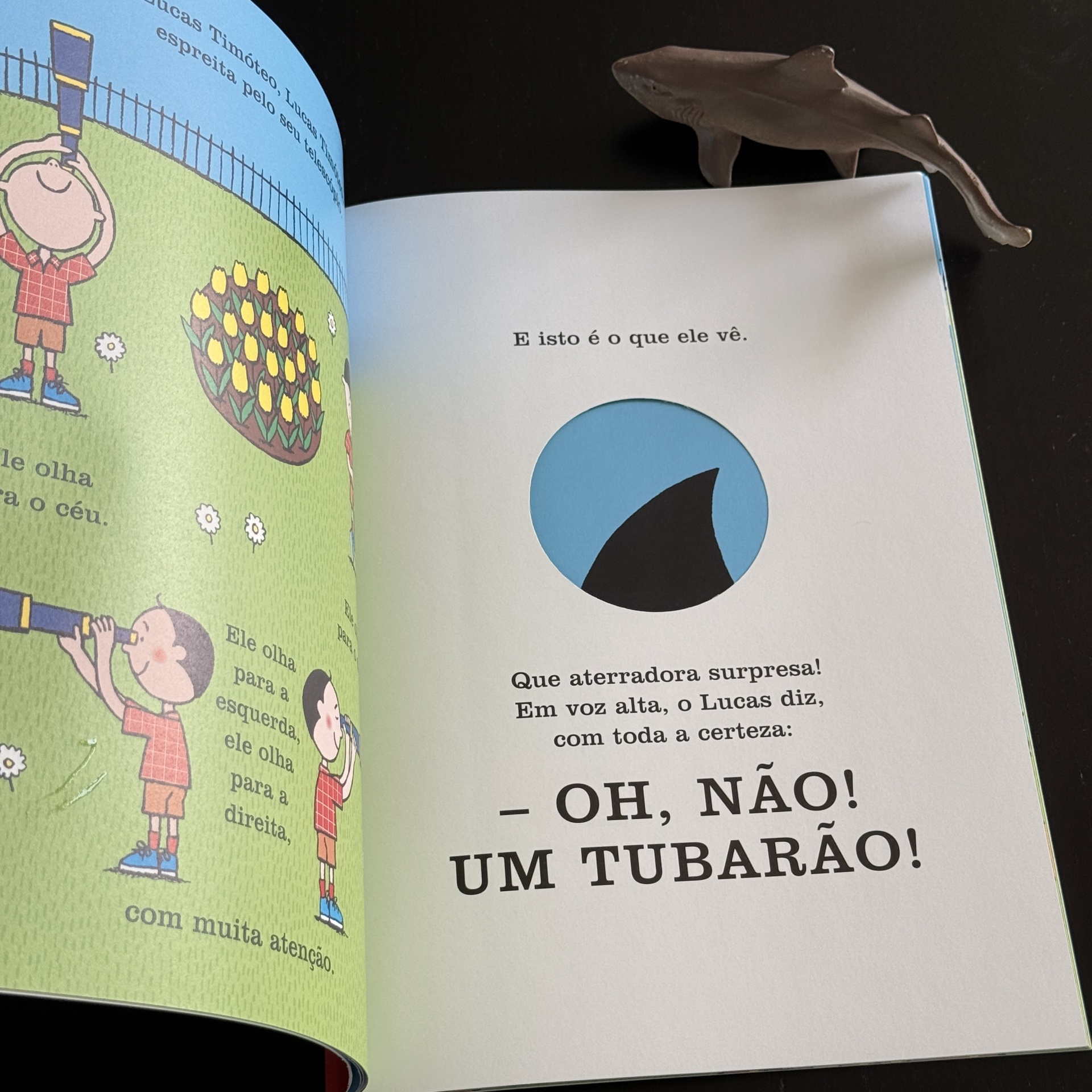 Oh, não! Um tubarão!