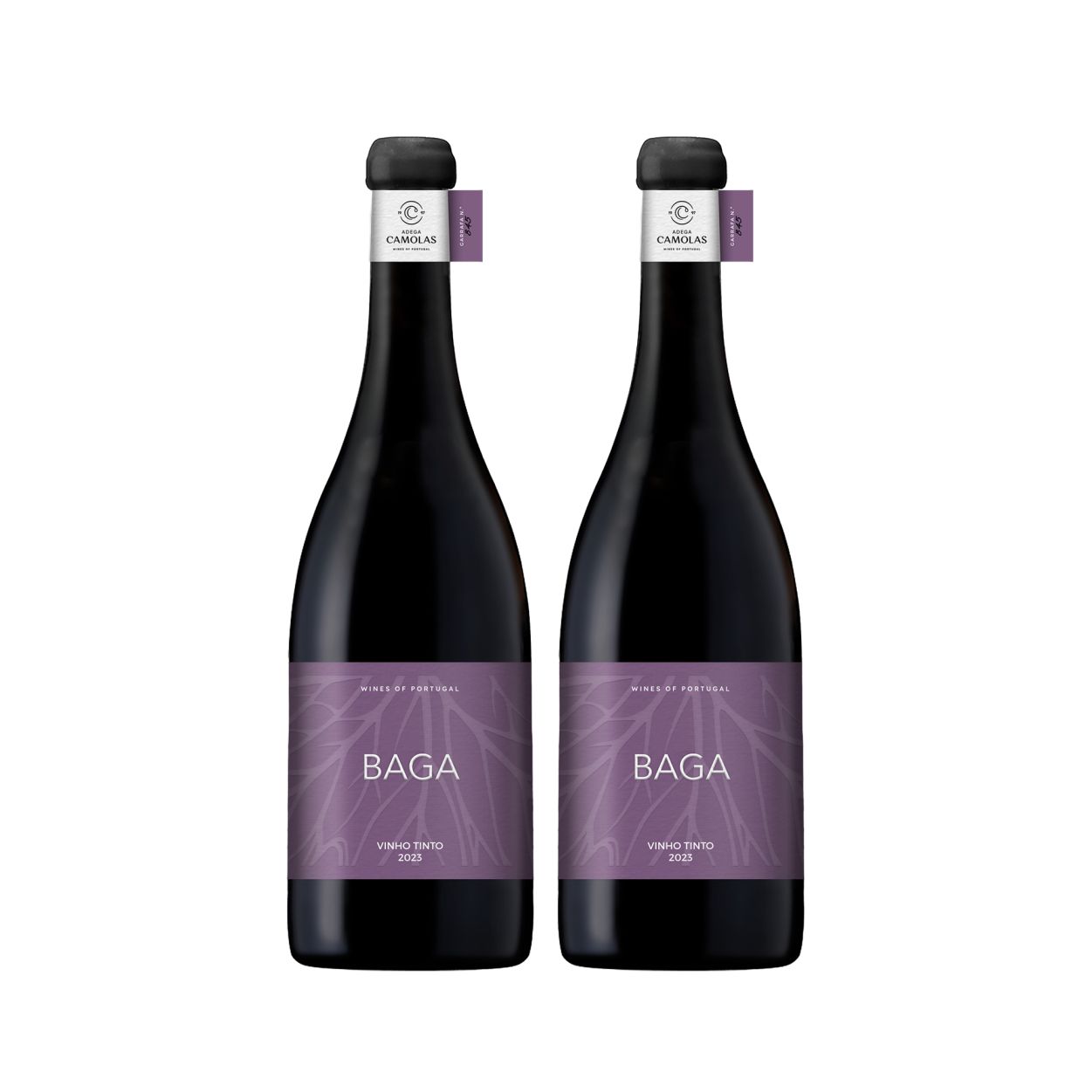 Monocasta Baga Tinto Monocasta Baga Tinto