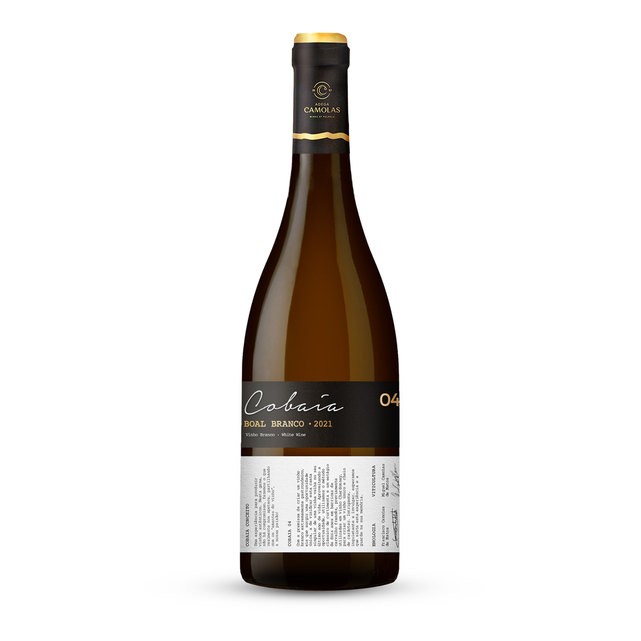 Cobaia 04 - Boal Branco Cobaia 04 - Boal Branco