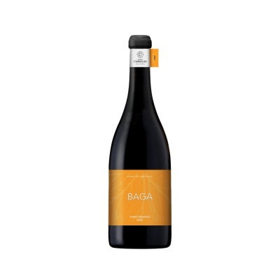 Monocasta Baga Branco (Blanc de Noirs)