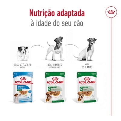 Royal Canin Mini Adult - Alimento em molho para cão adulto de porte pequeno/mini