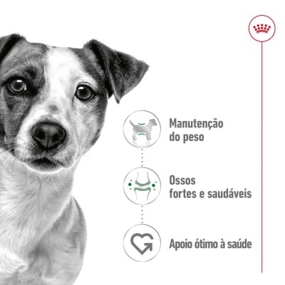 Royal Canin Mini Adult - Alimento em molho para cão adulto de porte pequeno/mini