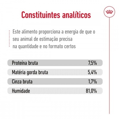 Royal Canin Medium Adult - Alimento em molho para cão adulto de porte médio