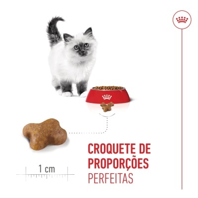 Royal Canin Kitten - Ração seca para gatinhos