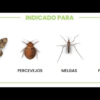 Bio Kill Clássico – Inseticida Biodegradável para Insetos Domésticos | 375ml