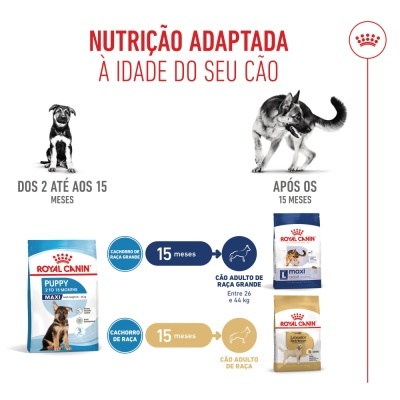 Royal Canin Puppy Maxi - Ração seca para cachorro de porte grande/gigantes