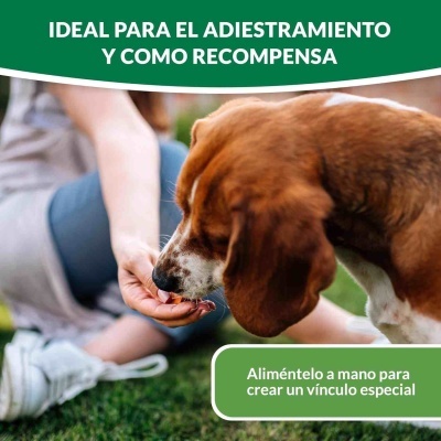 CHURU DOG BITES RECEITA DE FRANGO COM SALMÃO 8 x 12g