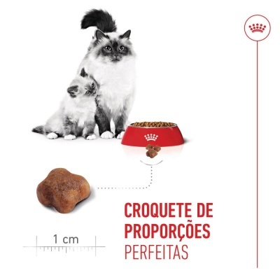 Royal Canin Mother & Babycat - Ração seca para gata gestante/lactante e gatinho recém-nascido