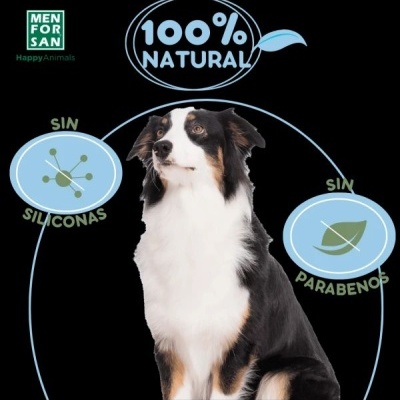 Champô Neutralizador de Odores para Cães – Fragrância Talco - 300ml