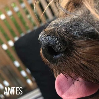 Creme Reparador Kw  – Hidratação Intensa para Pele Seca de Cães e Gatos