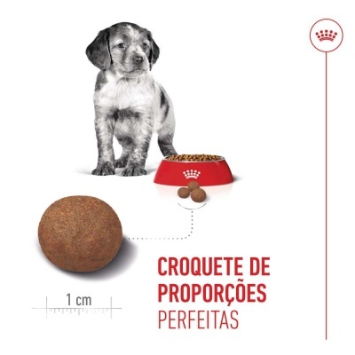 Royal Canin Puppy Medium - Ração seca para cachorro de porte médio/grande