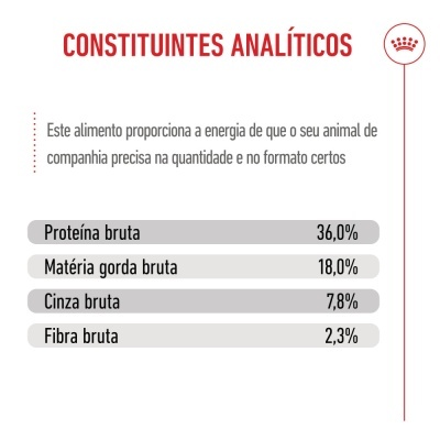 Royal Canin Kitten - Ração seca para gatinhos