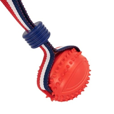 Ibanez Lançador Elástico com Bola