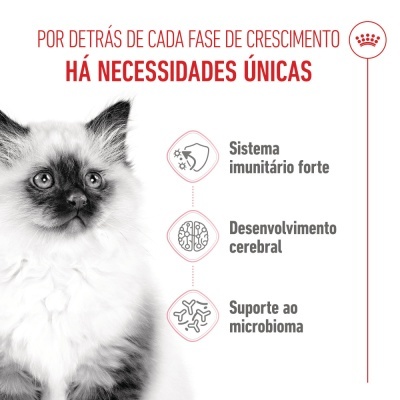 Royal Canin Kitten - Ração seca para gatinhos