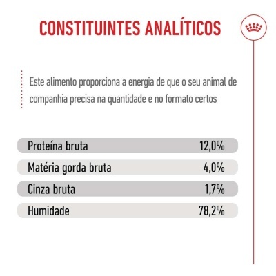 Royal Canin Kitten - Alimento em molho para gatinhos