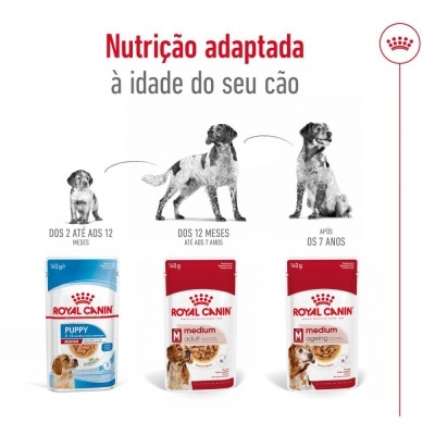 Royal Canin Medium Adult - Alimento em molho para cão adulto de porte médio